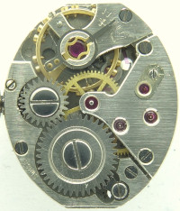 AS 1012 Günter G.: AS 1012