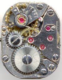 Bifora 49 Götz Schweitzer: Bifora 49