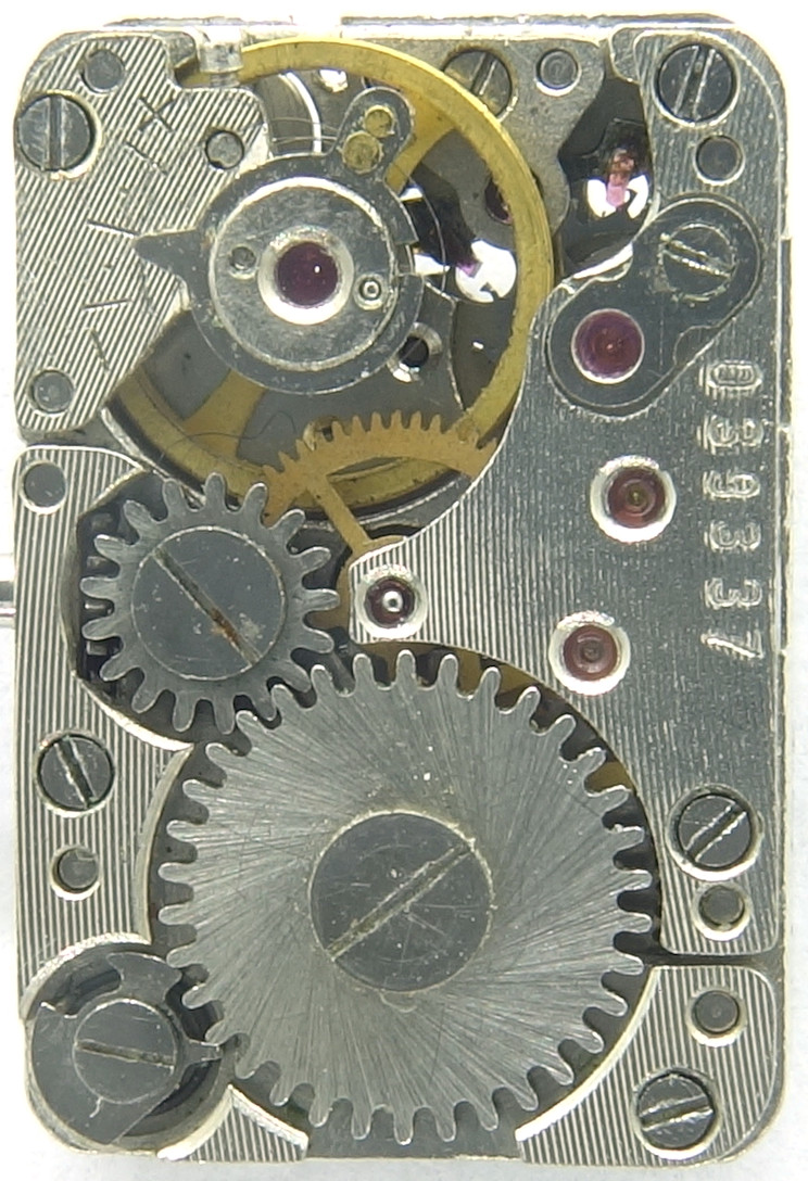 Chaika 1200 Chaika 1200 |