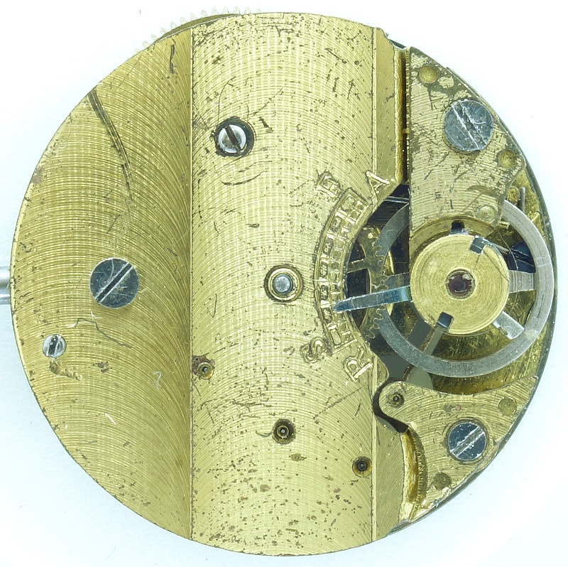 Thiel Darling Thiel Darling |