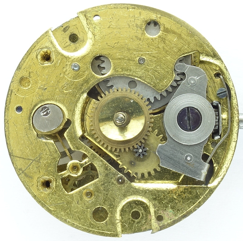 Thiel Darling: Dial side Thiel Darling: Thiel Darling: Dial side