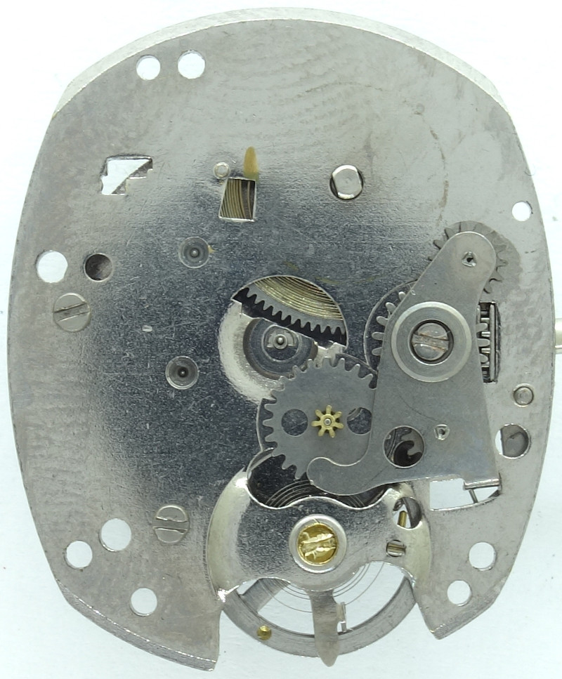 empty dial side Timex M116: empty dial side