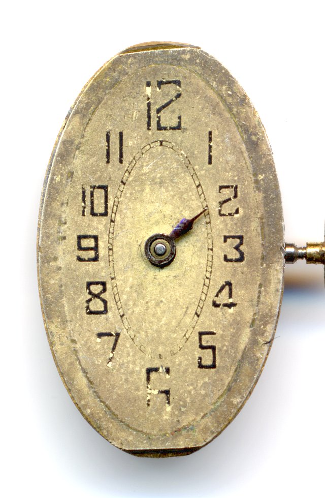 unmarked ladies' watch Venus 52: unmarked ladies' watch